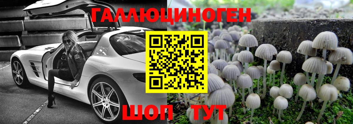 Псилоцибиновые грибы прущие грибы Лянтор